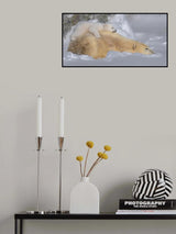 Sleep Poster och Canvastavla