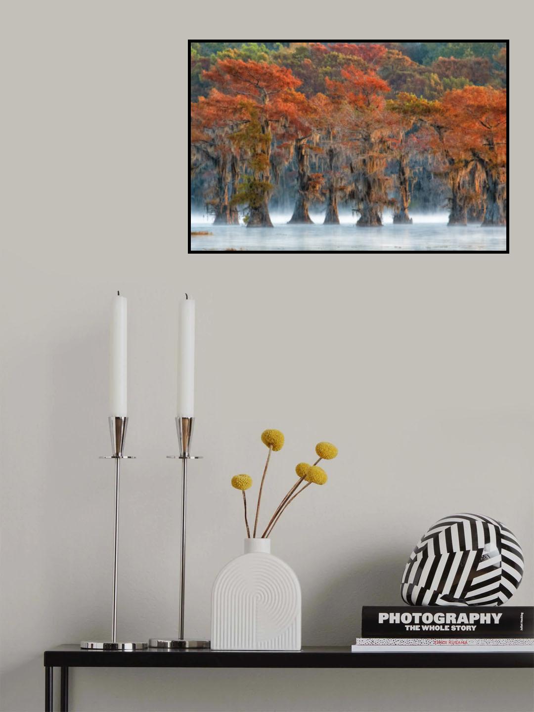 The colors of autumn Poster och Canvastavla