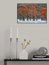 The colors of autumn Poster och Canvastavla