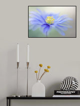 Breeze Poster och Canvastavla