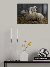 Soft Poster och Canvastavla