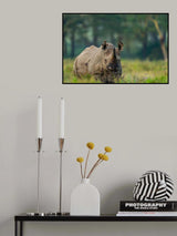 The Close Encounter Poster och Canvastavla