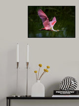 The Angel Poster och Canvastavla