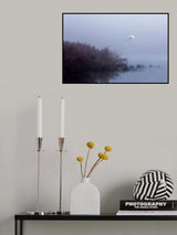 The flight of the egret Poster och Canvastavla