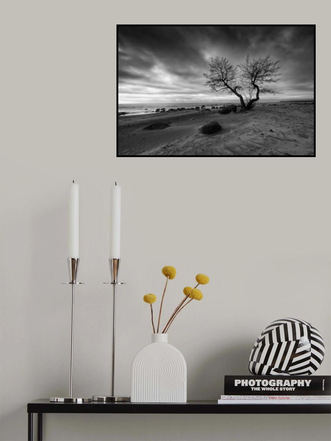 Poster och Canvastavla