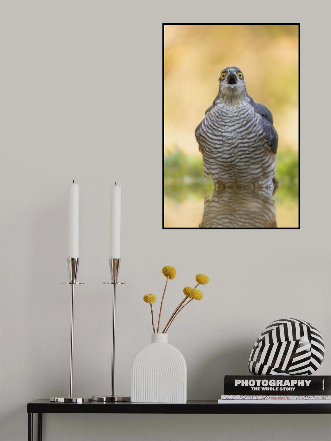 Yawn! Poster och Canvastavla