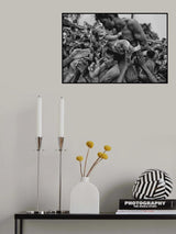 Faith of Life Poster och Canvastavla