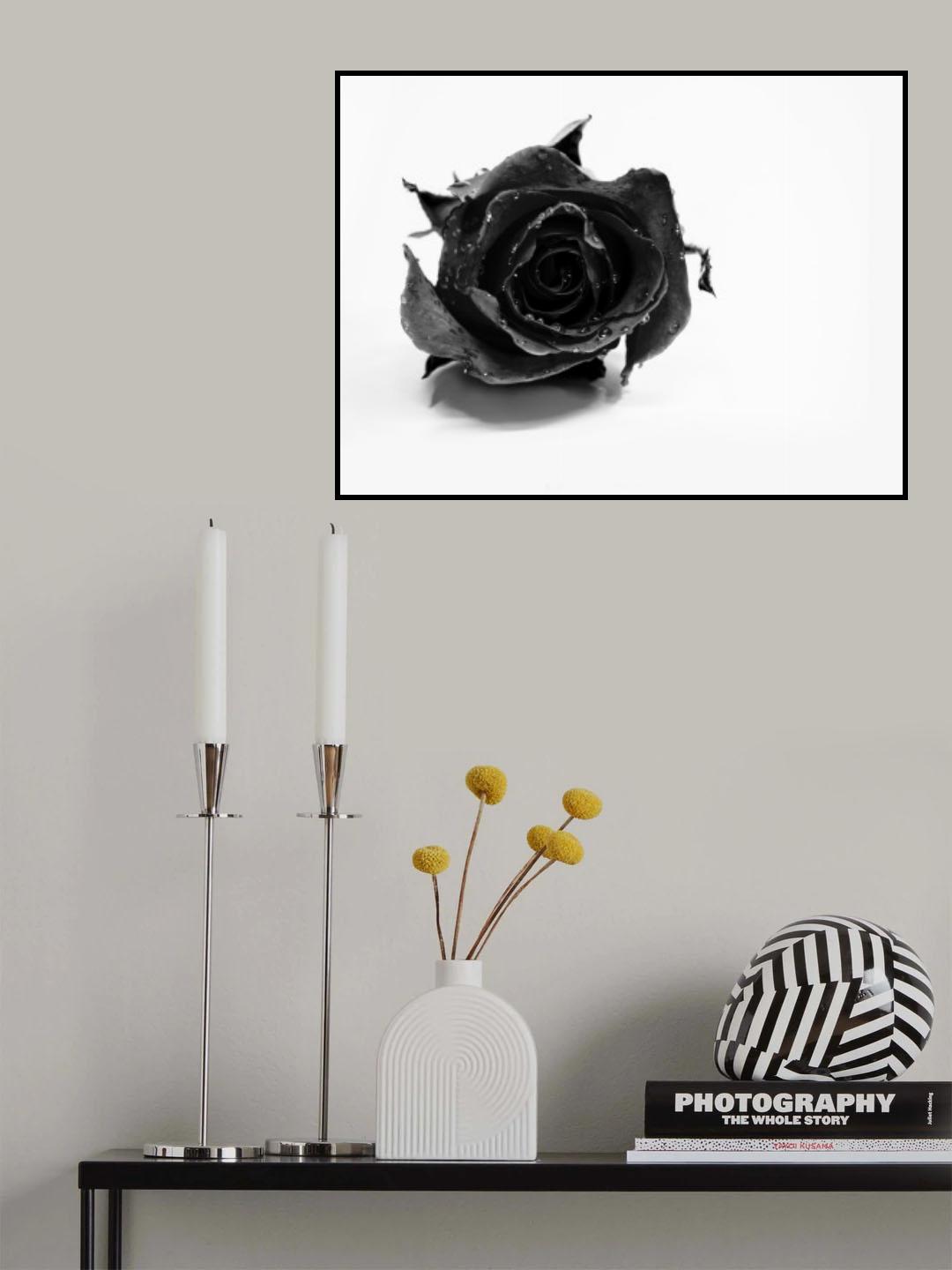 Rose Noir Poster och Canvastavla
