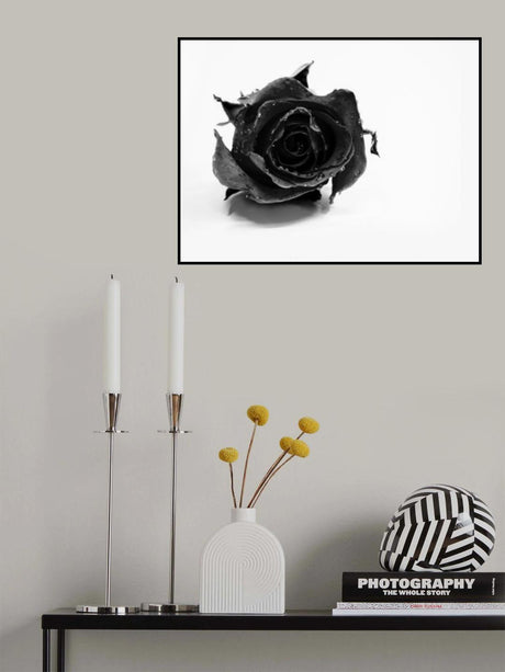 Rose Noir Poster och Canvastavla