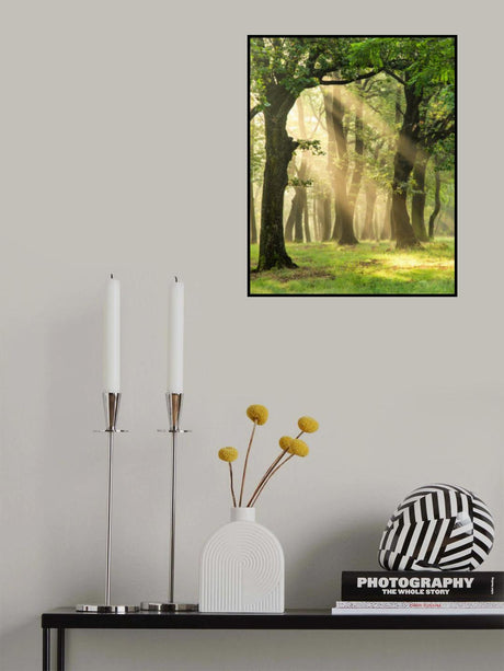 Magic moment Poster och Canvastavla