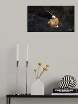 what's going on Poster och Canvastavla