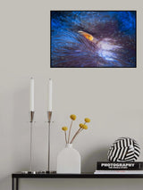Skunk clownfish Poster och Canvastavla