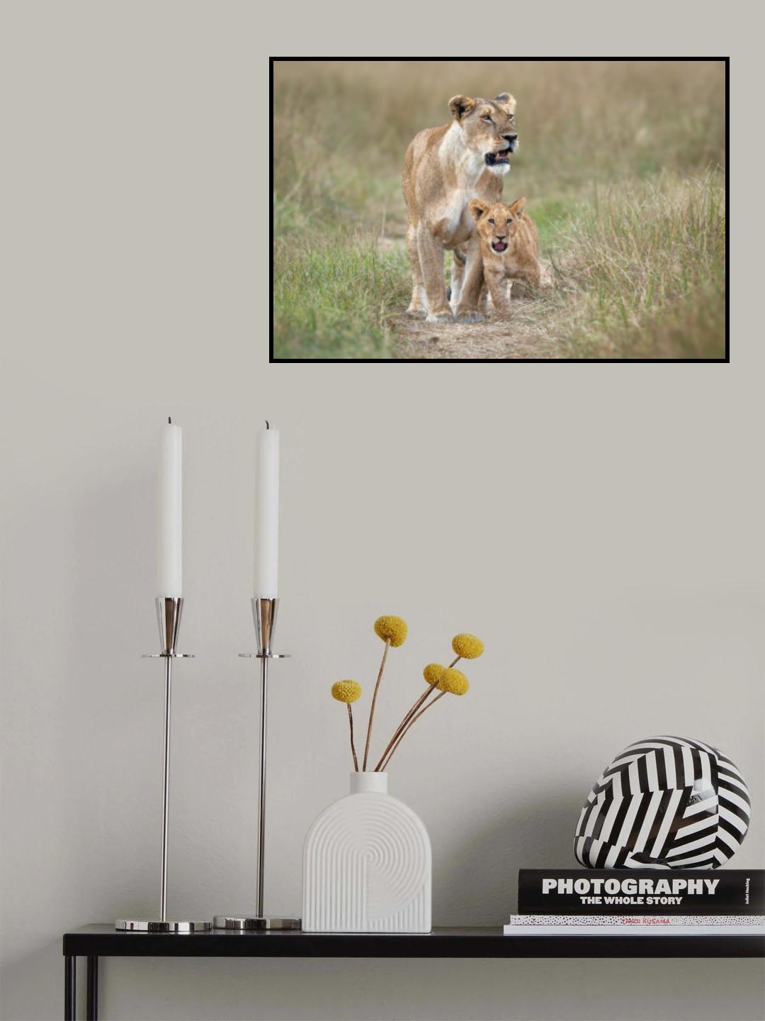 The brave little cub Poster och Canvastavla