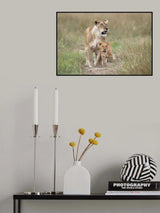 The brave little cub Poster och Canvastavla