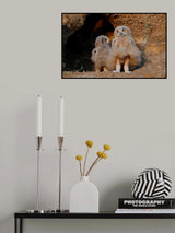 Marilyn Monroe Poster och Canvastavla