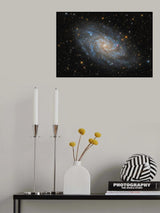 The Triangulum Galaxy - M33 Poster och Canvastavla
