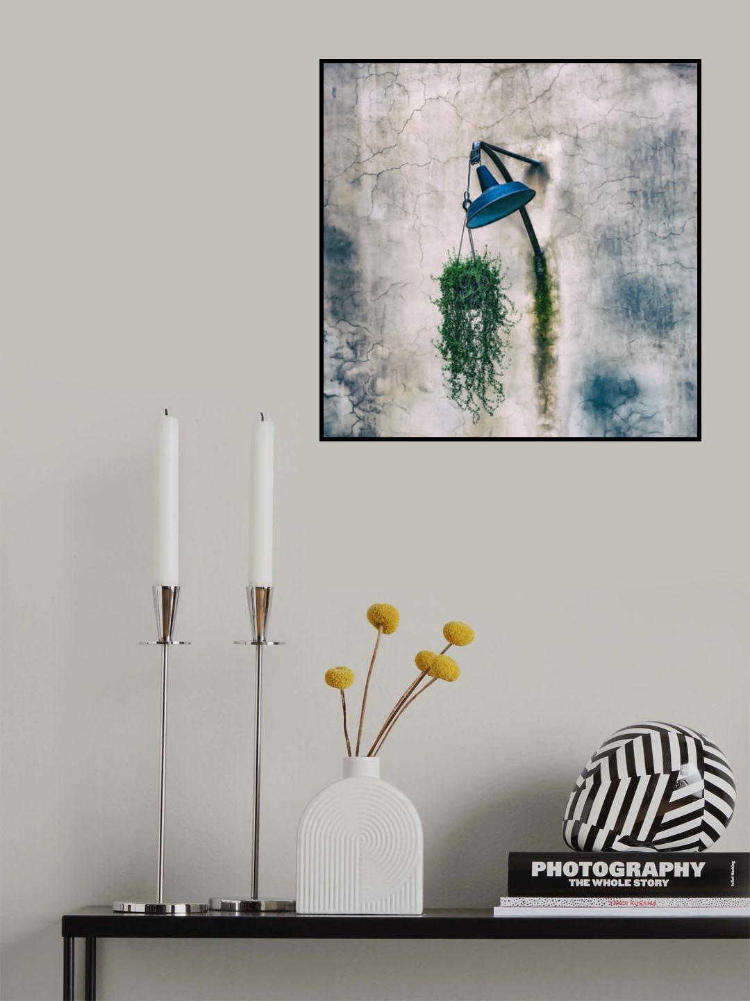 Wall Poster och Canvastavla
