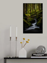 Entering my world of magic..... Poster och Canvastavla