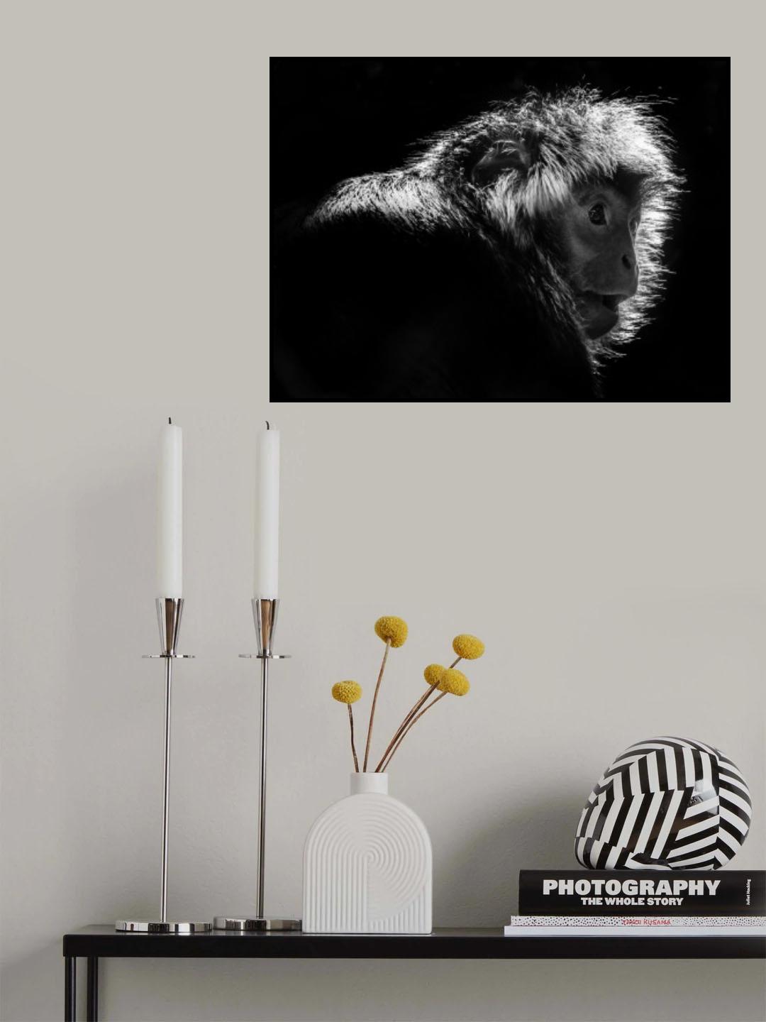 Looking Poster och Canvastavla