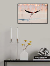 Flamingo dancing Poster och Canvastavla
