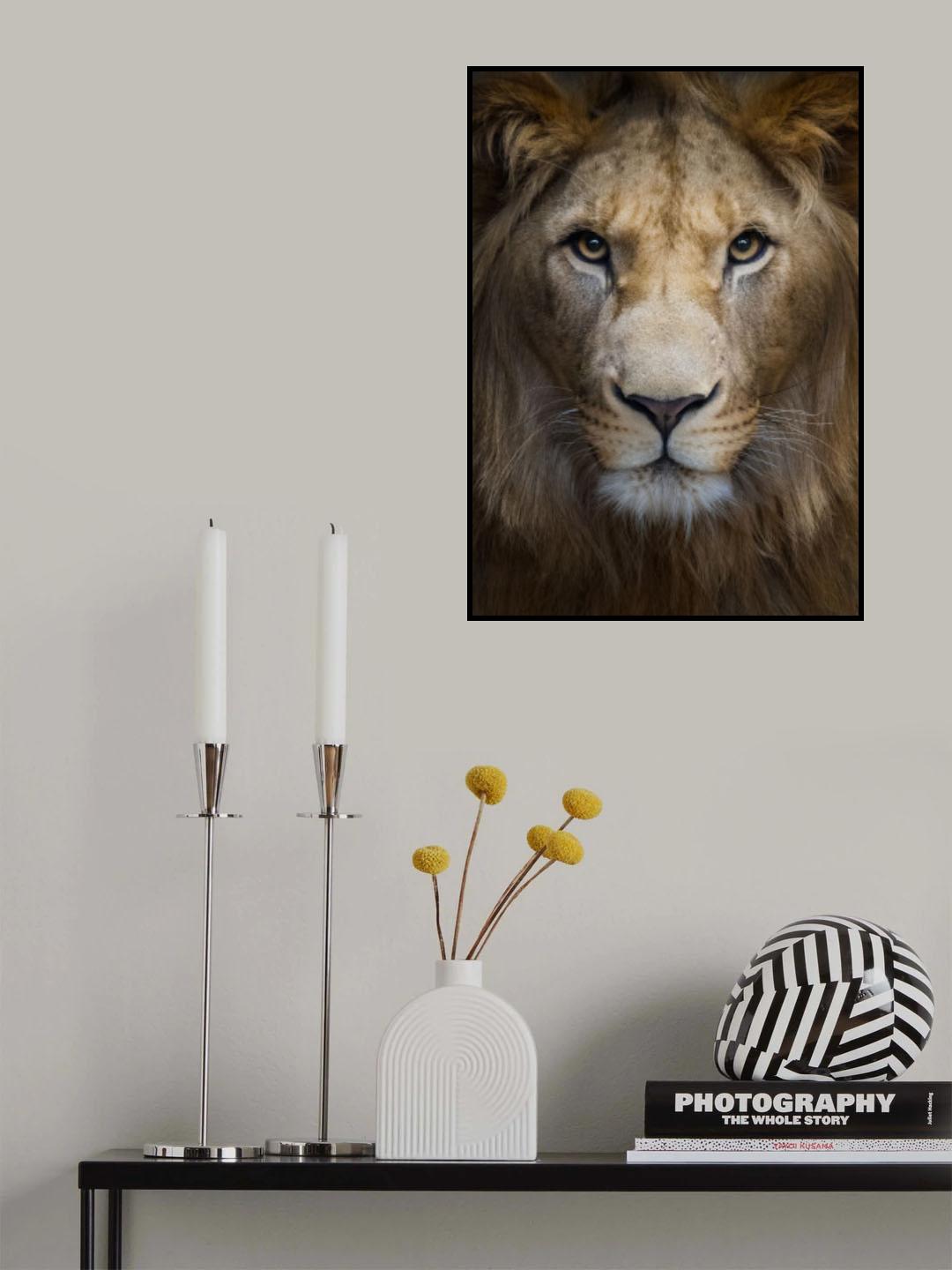 Majestic Poster och Canvastavla