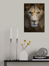 Majestic Poster och Canvastavla