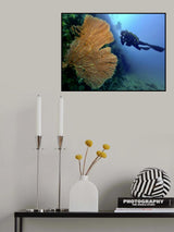 Into the deep Poster och Canvastavla