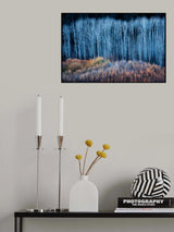 End of Autumn Poster och Canvastavla