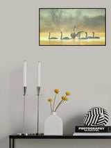 Hurry up Poster och Canvastavla