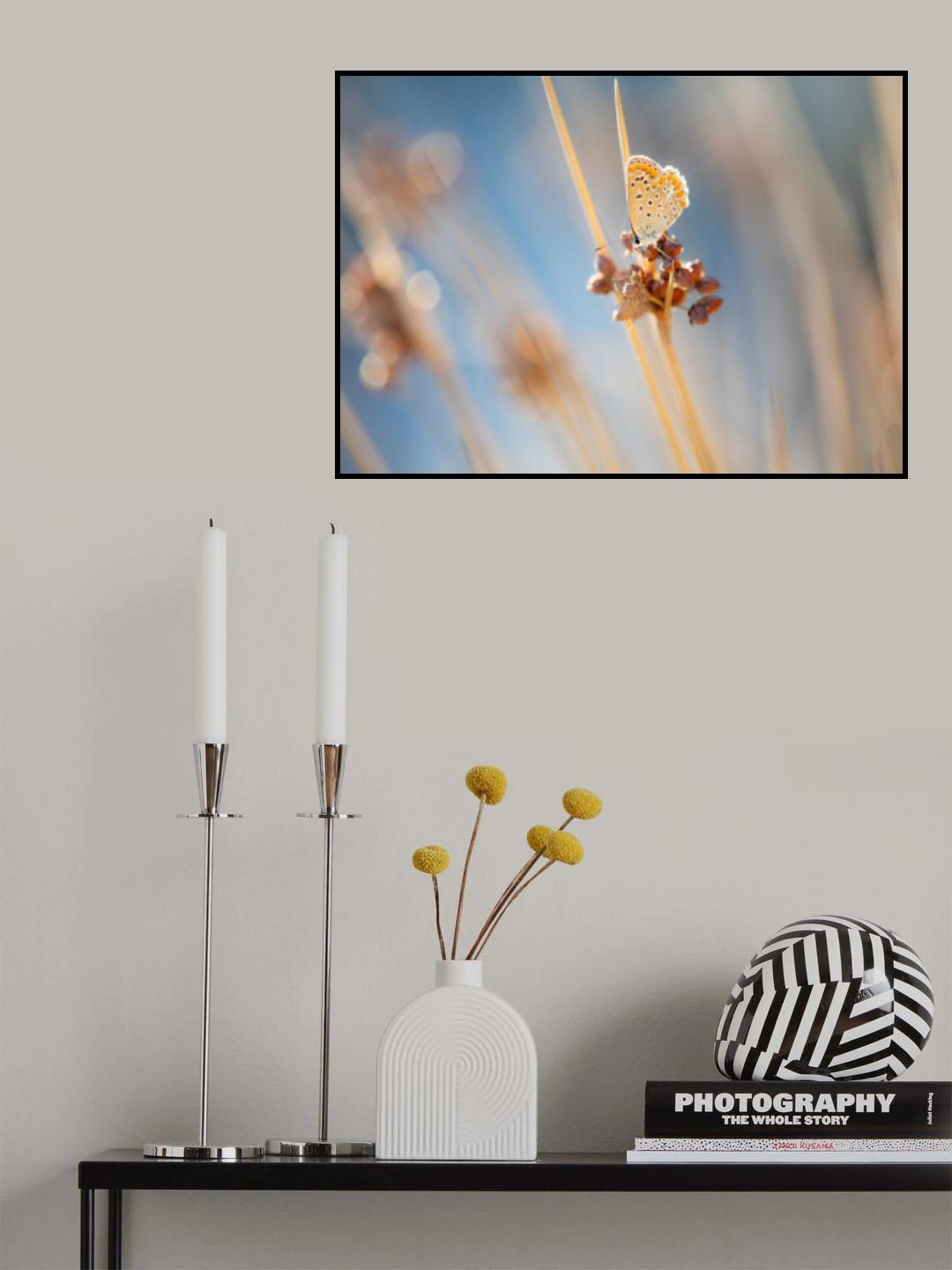 Blue around fragile wings Poster och Canvastavla