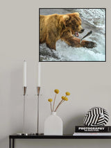 Catch Poster och Canvastavla