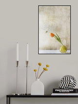 Law of Attraction Poster och Canvastavla