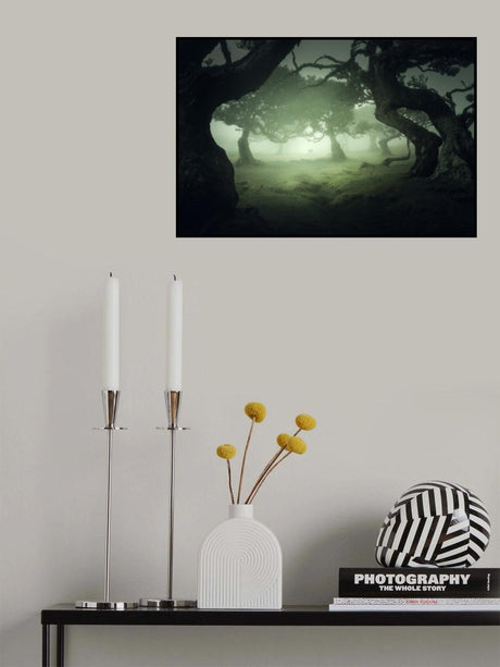 Hidden secret Poster och Canvastavla