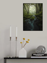 Foggy Stream Poster och Canvastavla