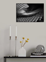 the claw Poster och Canvastavla