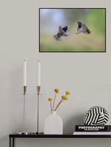 Scream to scream Poster och Canvastavla