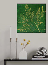 Deep In the Forest Poster och Canvastavla