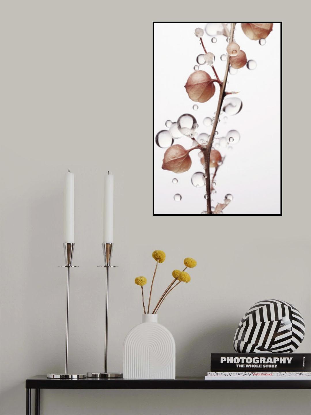 Drops On Leaf Poster och Canvastavla