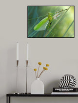 Birth of a green fairy... Poster och Canvastavla