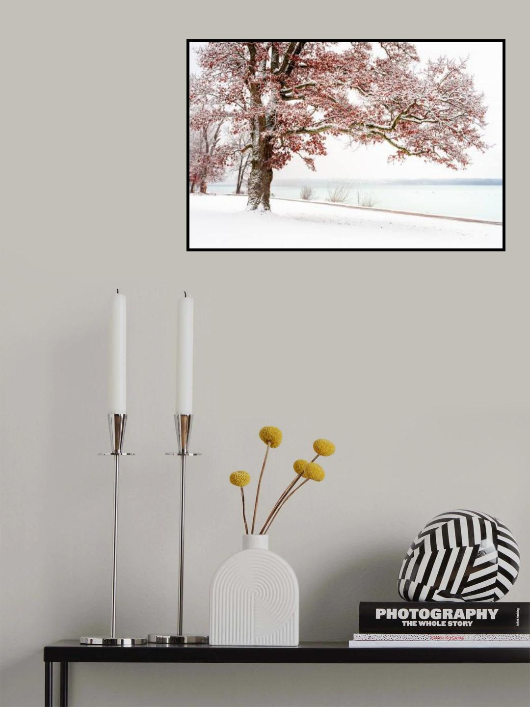 Winter is coming Poster och Canvastavla