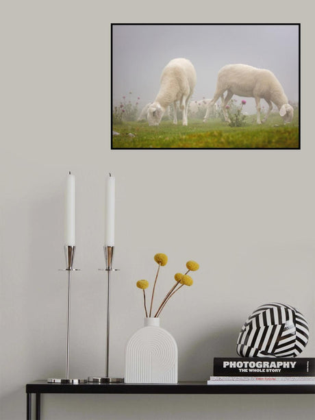 Sheeps in the Mist Poster och Canvastavla