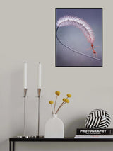 Acrobatical Ant Poster och Canvastavla