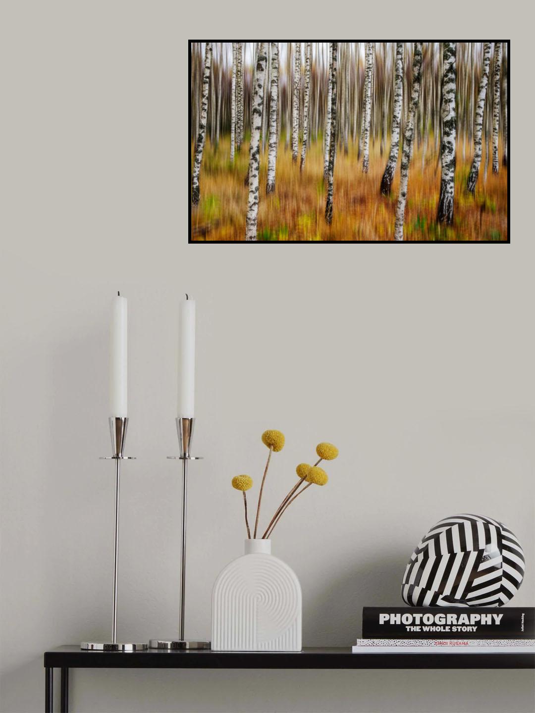 3D Birches Poster och Canvastavla