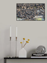 Rush Hour Poster och Canvastavla