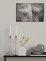 Face to Face Poster och Canvastavla