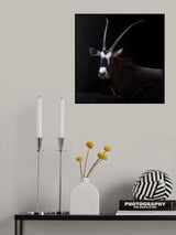 smiling for you Poster och Canvastavla