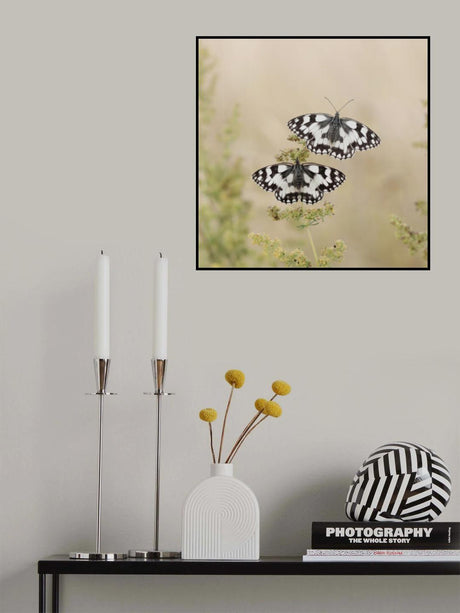 Two Is Better Than One Poster och Canvastavla