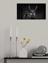 Mussels from Brussels Poster och Canvastavla