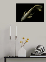 Swim alone Poster och Canvastavla