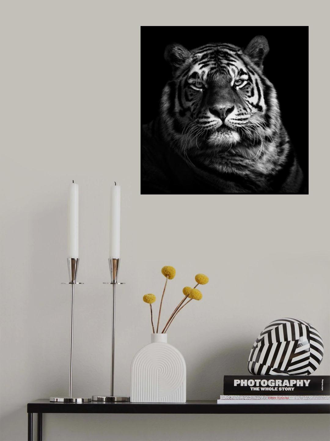 Tiger Poster och Canvastavla